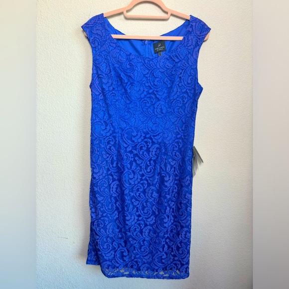 NWT Adrianna Papell Cobalt Blue Lace Overlay Knee Length Sheath Dress 12 - Picture 1 of 11